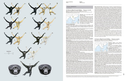 Handbook of the Mammals of the World no 3, Primates - Lynx 2013